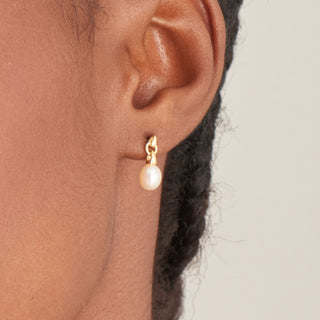 ANIA HAIE Pearl Power | Pearl Drop Stud Earrings