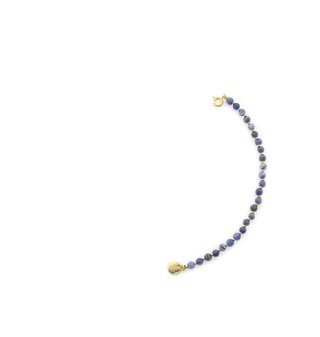 Solid Gold Edelsteen Tussenstuk Ketting - Sodaliet