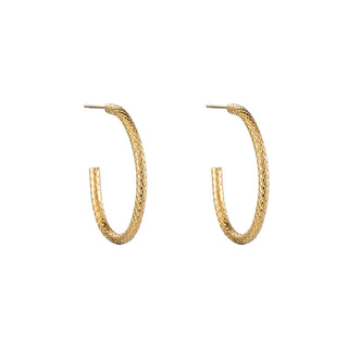 Bijoutheek Stud Earrings Oval Hoop Snake Pattern