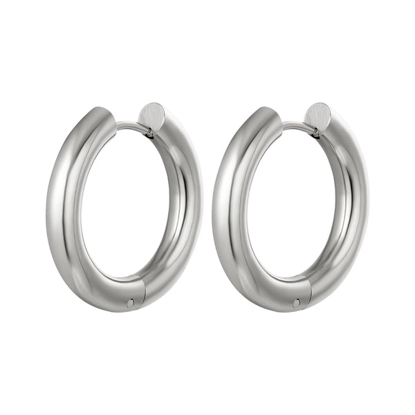 Bijoutheek Earrings Steel