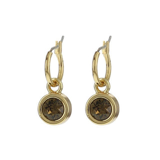 Koop brown BIBA Earrings gold (80313)