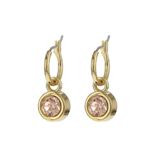 Koop peachpuff BIBA Earrings gold (80313)