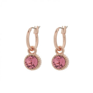 Koop pink BIBA Earrings rose (8923)