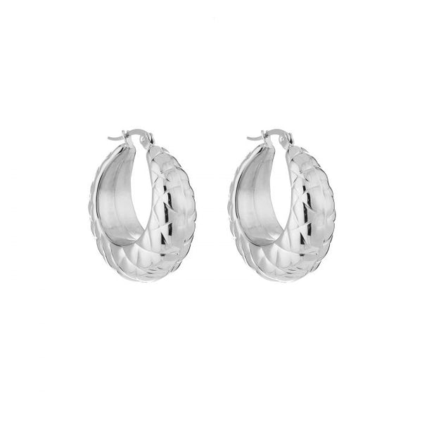 Michelle Bijoux Earrings decorated with a round hoop