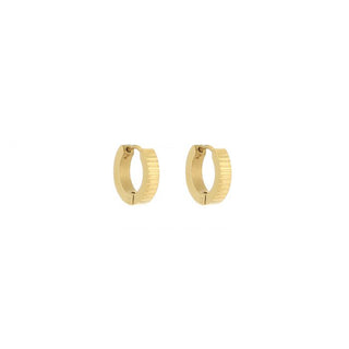 Michelle Bijoux Earrings Stripes