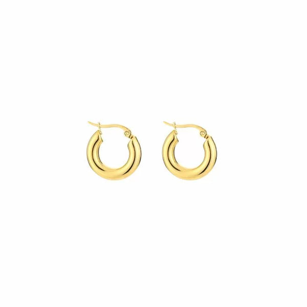 Bijoutheek Earrings Hoop (5mm) Thick