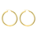 Michelle Bijoux Earrings (50mm x 5mm)