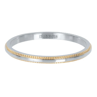 Koop silver iXXXi infill ring Double Gear (2MM)
