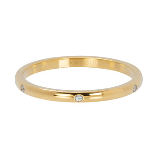 Koop gold iXXXi infill ring Elegance (2MM)