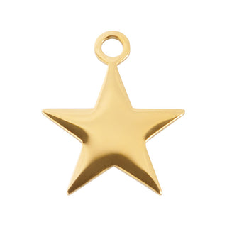 Buy goud iXXXi Pendant Charm Star (20MM)