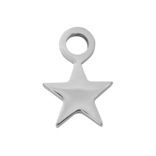 Kopen zilver iXXXi Pendant Littele Star (15MM)