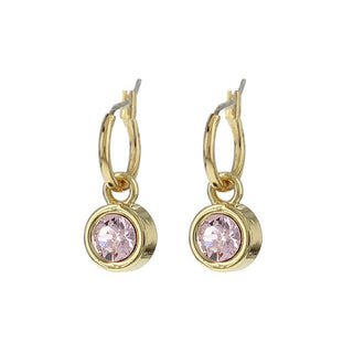 Koop rosaline BIBA Earrings gold (80313)