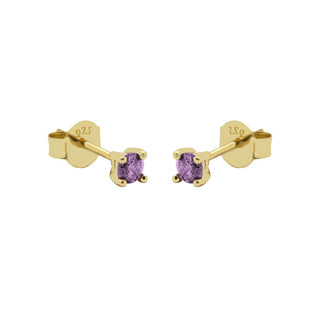 Koop purple Karma Zirconia Stud Earrings