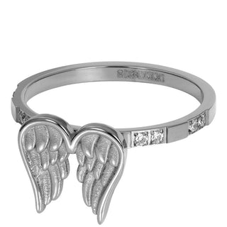 Koop silver iXXXi fill ring Wings (2MM)