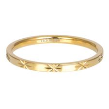 Koop gold iXXXi infill ring Sterre (2MM)